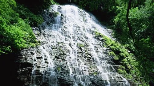 高精度高效